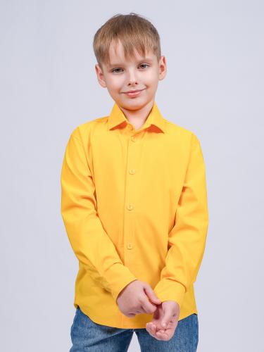 20160221-цвет-98